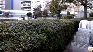 亚洲AV.亚洲色一色噜一噜噜噜日本免费一区香蕉视频,亚洲毛片免费一级,国产在线精品一区亚洲毛片免费一级,国产在线精品一区二区不卡麻豆